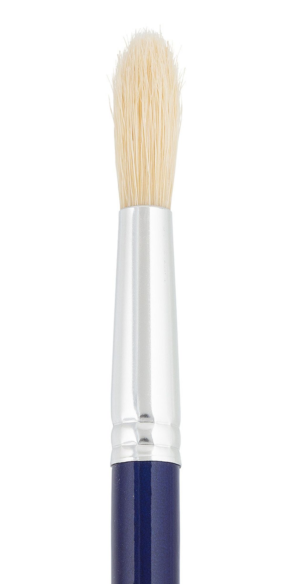 Кисть щетина №08 круглая, 5 шт, длинная ручка, 08, Vista-Artista 30011-08