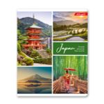 Тетрадь ученическая общая A5+ 48 л. на скобе, белизна 100%, 10 шт, клетка, 000333 Мир вокруг нас, Светоч 48ТСК5_1_3_1