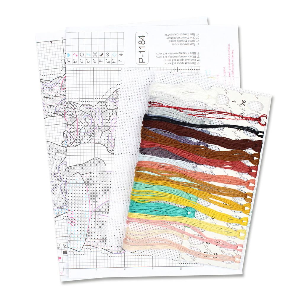 Набор для вышивания нитками МП Студия, на пластиковой канве Данила мастер 19х13см