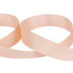 Лента репсовая нарезка 25.0 мм / 5 шт по 5.4 метра, 003 св. бежевый, Gamma GR-25