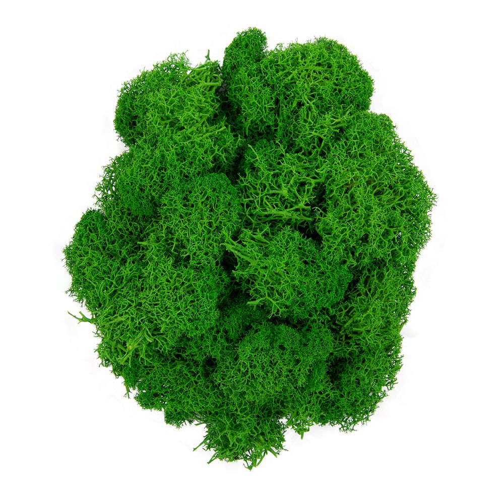 Мох стабилизированный окрашенный 50 г, 03 св.зеленый, Blumentag, BMSR-50