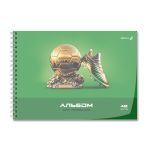 Альбом для рисования с пластик. обложкой 180 мкм, цветной титул лист 100 г/м², A4 29х20.5 см, 40 л. на гребне 5 шт, 01543 Дорога к победе, Светоч А207