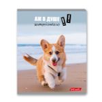 Тетрадь ученическая общая, A5+ 48 л. на скобе 65 г/м², белизна 100%, 10 шт, клетка в термоусадочной пленке, 000752 Смешные и шерстяные, Светоч 48ТЕТк-001