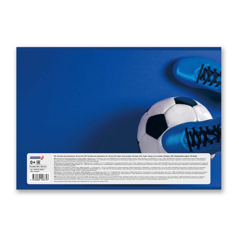 Альбом для рисования 100 г/м², A4 29х20.5 см, 10 шт, на скобе 40 л, 40АЛСК4_000227 Мы в спорте, Светоч