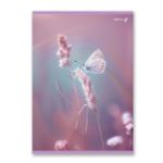 Тетрадь ученическая общая, A4 80 л. на скобе 65 г/м², белизна 100% 6 шт клетка, 01758 Встречая рассвет, Светоч Т154