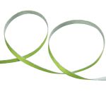 Лента атласная 2-сторонняя 6.0 мм / 22.8±1 метра, 150 салатовый/серебро, Gamma ALD-06