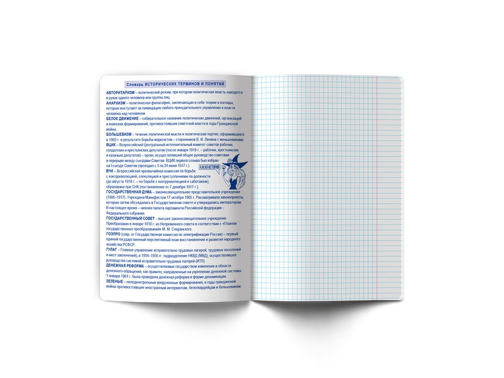 Тетрадь со справочным материалом Ковен тайных знаний, A5+ 48 л. на скобе 65 г/м², белизна 100%, 10 шт, клетка, 00856 История, Светоч 48Т7