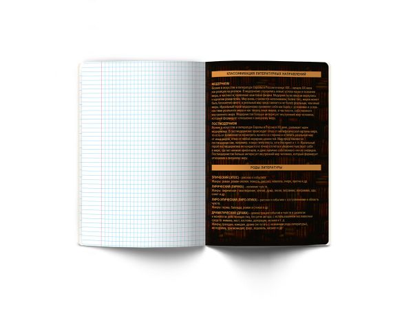 Тетрадь со справочным материалом Эволюция, глянцевая ламинация, A5+ 48 л. на скобе 65 г/м², белизна 100%, 10 шт, линия, 00881 Литература, Светоч 48Т4