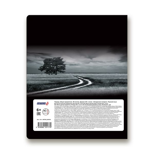 Тетрадь предметная Загадочная история A5+ 48 л. на скобе, белизна 100%, 10 шт, линия, 48ТСК5/000190 Русский язык, Светоч