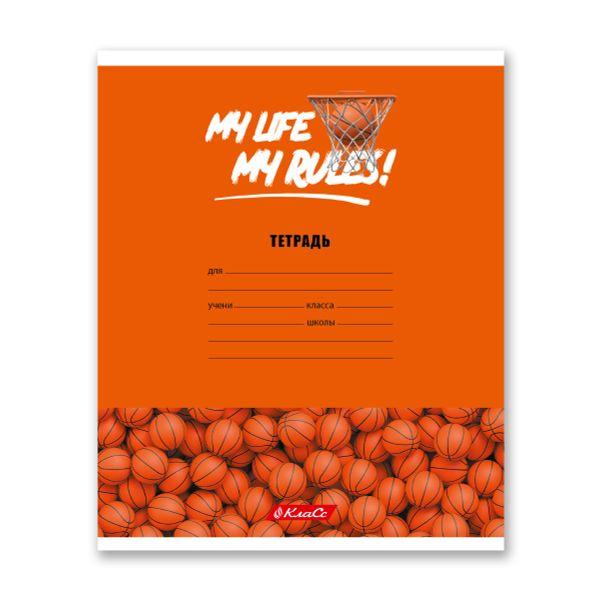 Тетрадь ученическая школьная A5+ 24 л. на скобе, белизна 100% 30 шт, клетка, 000372 Мячики, Светоч 24ТСКд5_1_3_1