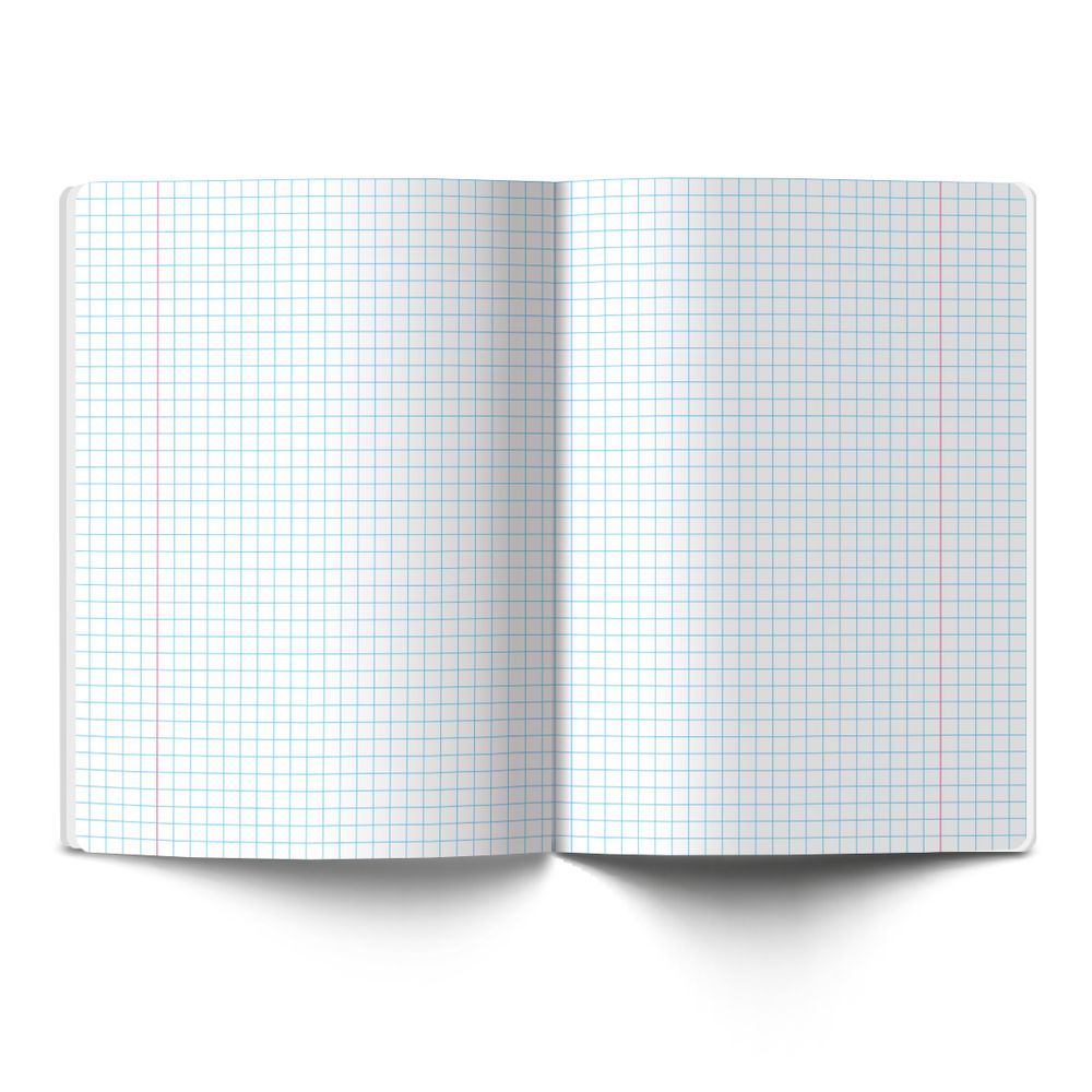 Тетрадь общая с пластик. прозр. обложкой 180 мкм, цвет.запечат.титул лист A5 48 л. на скобе 65 г/м², белизна 100% 10 шт клетка, 01498 Девочки Online, Светоч Т197