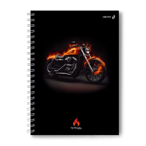 Тетрадь ученическая общая, A4 80 л. на гребне 65 г/м², белизна 100 %, 4 шт, клетка, 01229 Формула движения, Светоч Т125