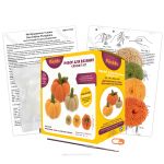 Набор для вязания игрушки Miadolla AMG-0155, Интерьерные тыквы, 8 см