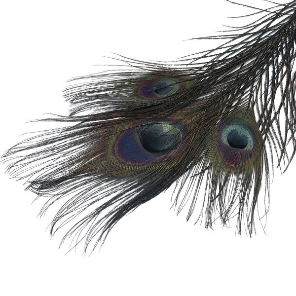 Перо павлина декоративное 25-30см, 10 штук (черный), AR204-2