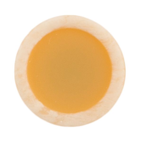 Пуговицы на ножке блузочные 10 мм, 36 шт, D847 св.оранжевый, Gamma CRZ 0030