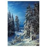 Пазл. Премиальная коллекция 2000 элементов, TOP-PZL-2000/03 Зимняя ночь, Фрея