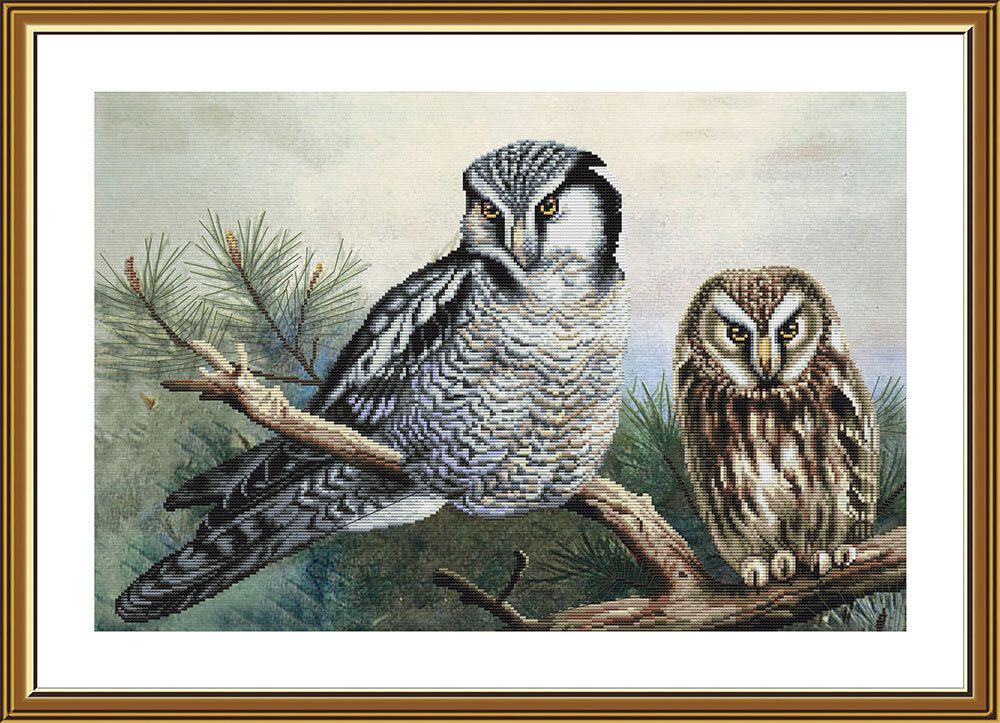Набор для вышивания нитками Нова Слобода, Совушки 43х28 см