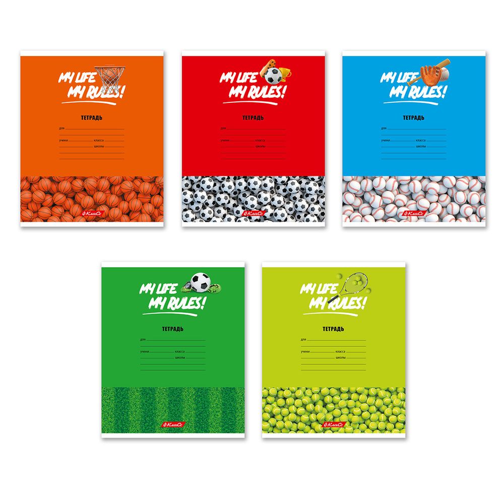 Тетрадь ученическая школьная A5+ 24 л. на скобе, белизна 100% 30 шт, клетка, 000372 Мячики, Светоч 24ТСКд5_1_3_1