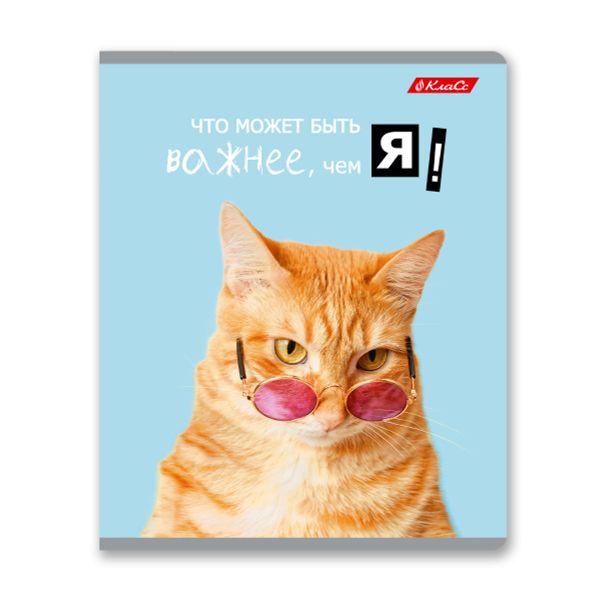 Тетрадь ученическая общая, A5+ 48 л. на скобе 65 г/м², белизна 100%, 10 шт, клетка в термоусадочной пленке, 000752 Смешные и шерстяные, Светоч 48ТЕТк-001