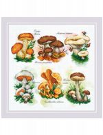 Набор для вышивания нитками Риолис, По грибы 25х25 см