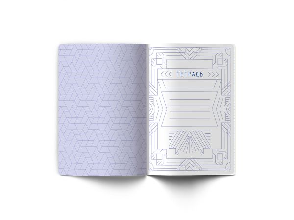 Тетрадь со справочным материалом Линия успеха, софт тач ламинация + тиснение фольгой, A5+ 48 л. на скобе 65 г/м², белизна 100%, 10 шт, линия, 000576 Литература, Светоч 48ТПСК5_126_2_2