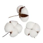 Декоративные элементы 15 шт (5х3 шт), 01 коробочки хлопка, Blumentag VDF-24