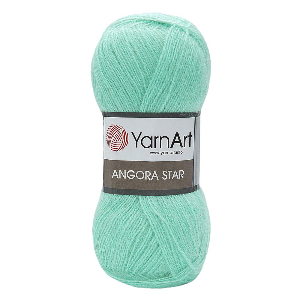 Пряжа YarnArt (ЯрнАрт) Angora Star / уп.5 мот. по 100 г, 500 м, 841 мятный