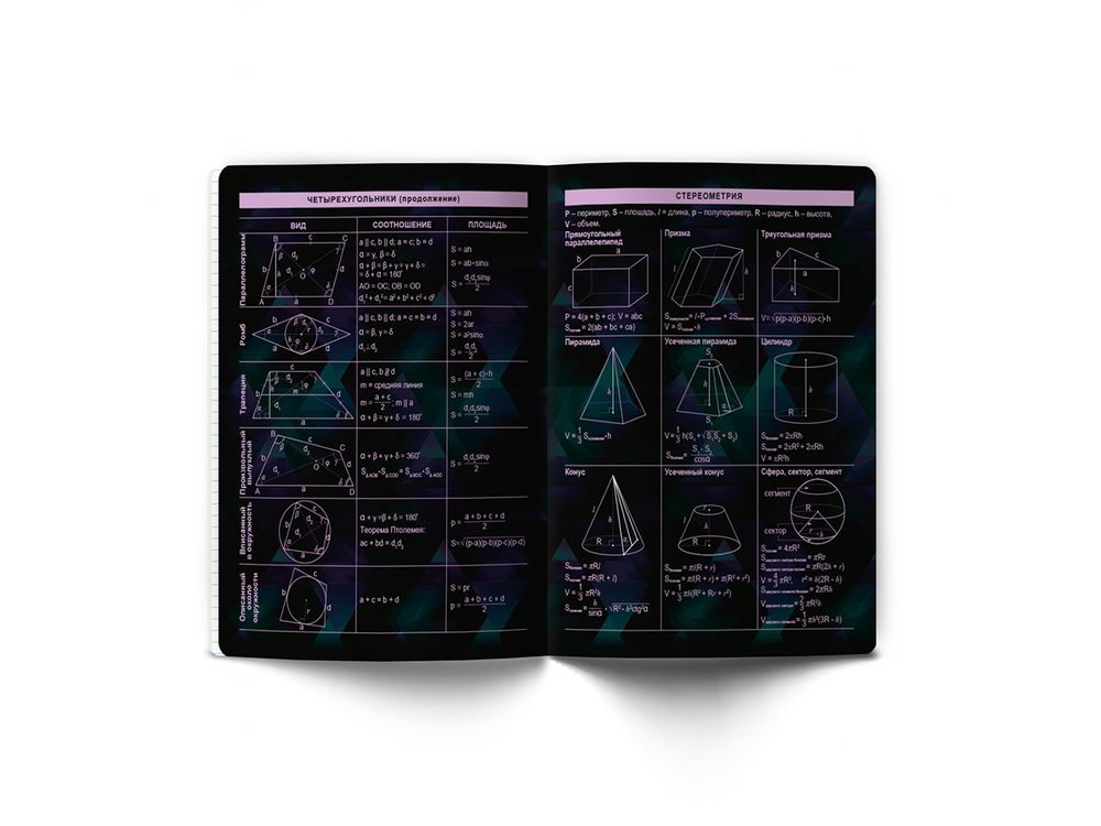 Тетрадь со справочным материалом Эволюция, глянцевая ламинация, A5+ 48 л. на скобе 65 г/м², белизна 100%, 10 шт, клетка, 00879 Геометрия, Светоч 48Т5