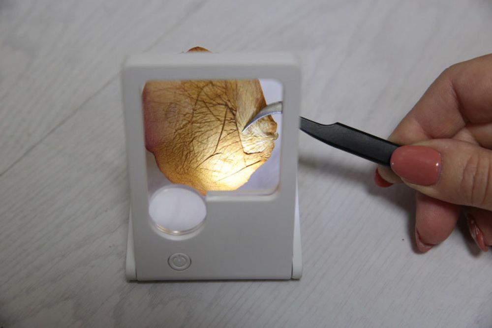 Лупа карманная с подсветкой FR-13, увеличение Х3, Х10, Ferstel