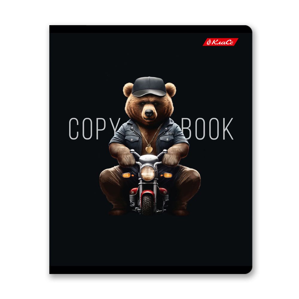 Тетрадь ученическая общая, софт-тач ламинация, A5+ 48 л. на скобе 65 г/м², белизна 100%, 10 шт, клетка в термоусадочной пленке, 000739 Мистер Х, Светоч 48ТЕТк-006