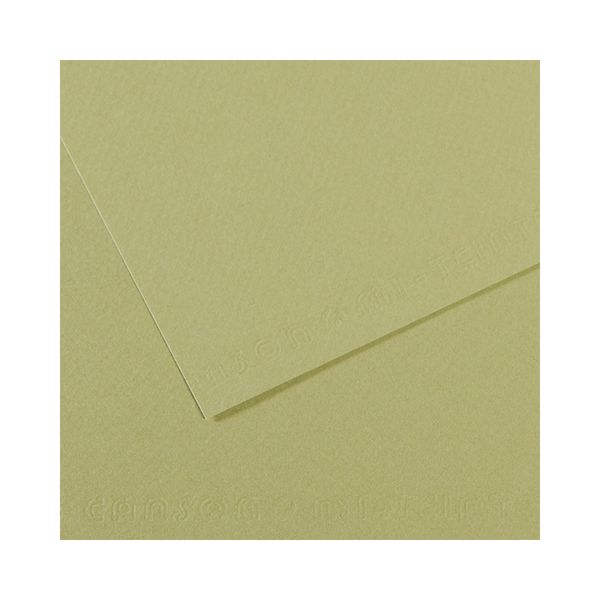 Бумага для пастели 160 г/м², 75х110 см, 25 листов, №480 светло-зеленый, Canson Mi-Teintes C200321167