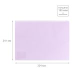 Папка-конверт на ZIP-молнии A4 180 мкм диагональ, 10 шт, лиловый EC21124017, Expert Complete EC21124017