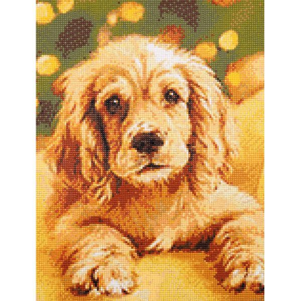 Алмазная (кристальная) мозаика Cristyle, Спаниель, 30х40 см