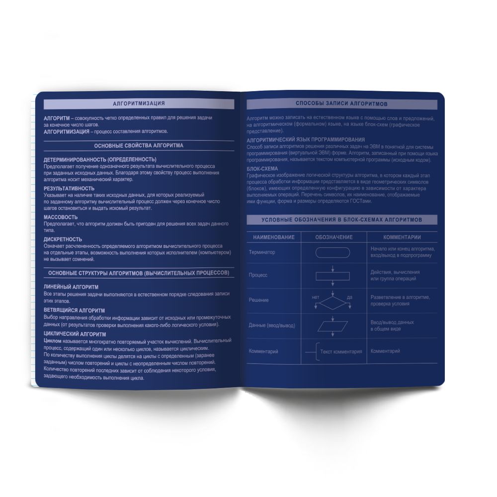 Тетрадь со справочным материалом Золотые главы, тисн.золот.фольгой, A5 48 л. на скобе 65 г/м², белизна 100% 10 шт клетка, 01855 Золотые главы Информатика, Светоч Т286