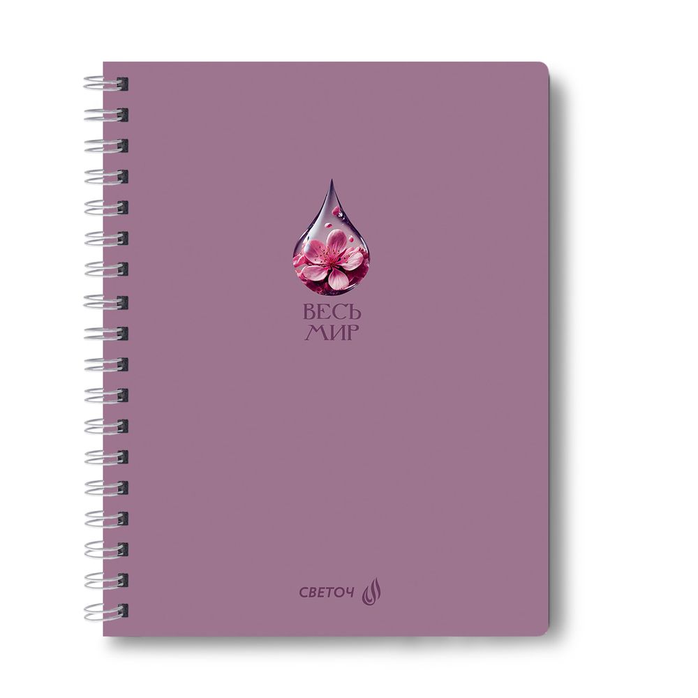 Тетрадь ученическая общая, A5 48 л. на гребне 65 г/м², белизна 100 %, 8 шт, клетка, 01172 МИКС - Весь мир, Светоч Т107