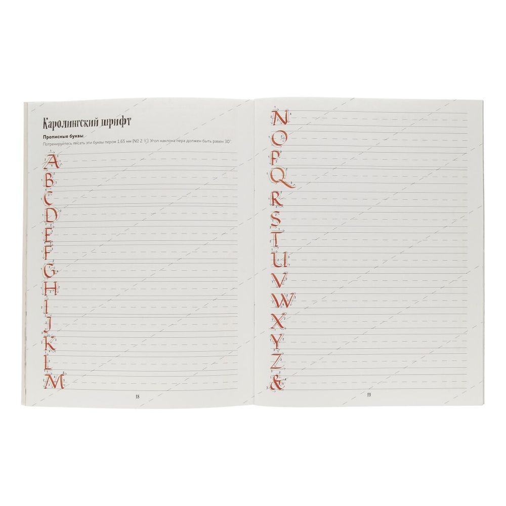 Книга. Леттеринг. Обучающий курс. Прописи. Шаблоны. 978-5-91906-939-3 99905666