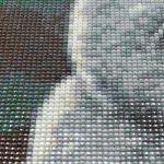 Алмазная (кристальная) мозаика Cristyle, Британский кот, 30х40 см