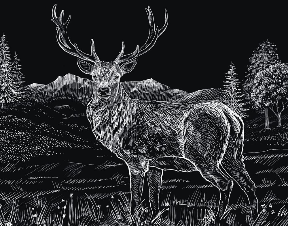 Набор для творчества Гравюра 20х25.5 см, №39 Олень (серебро), Hobbius SGHK