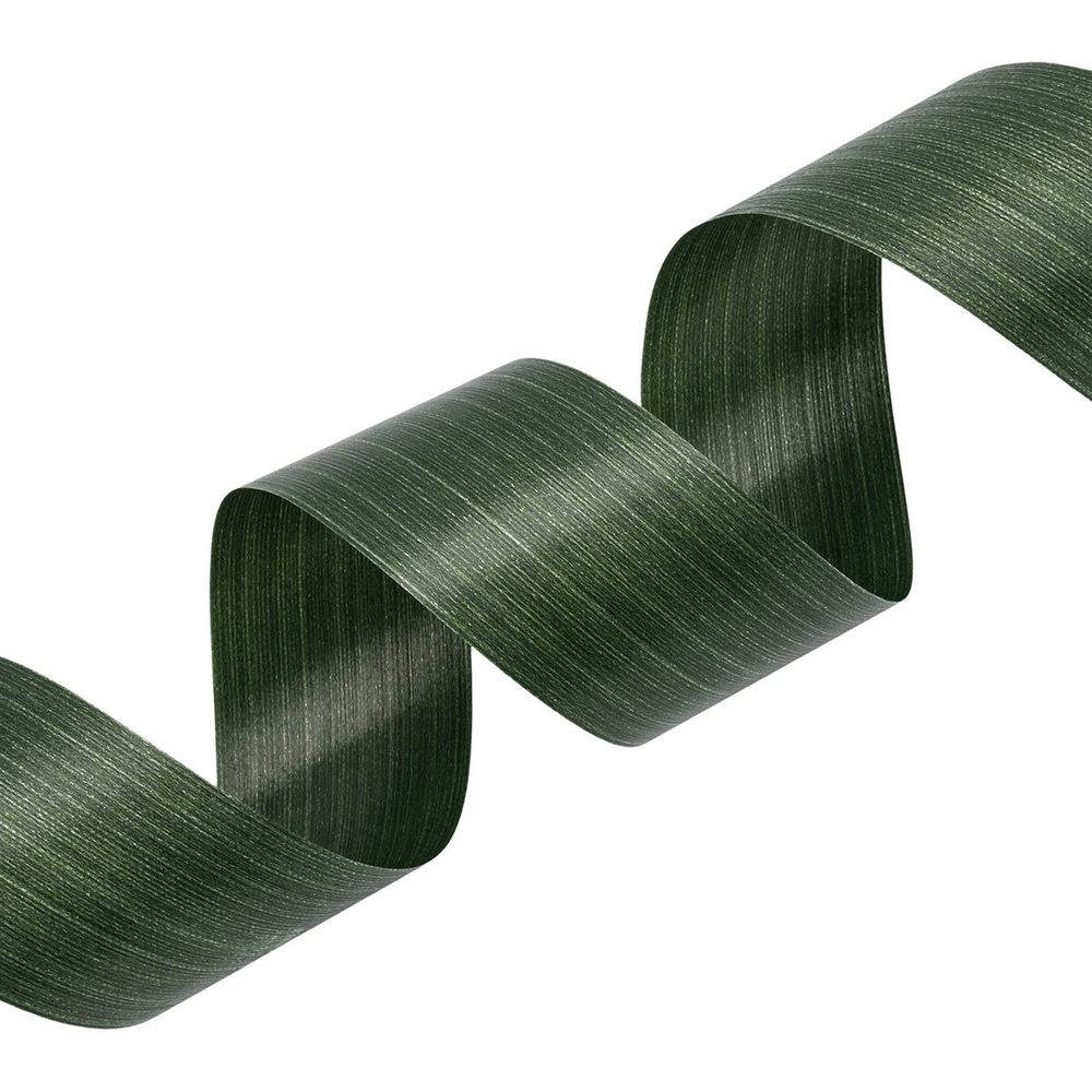 Лента флористическая Аспидистра 48 мм / 10 метров, R48-10DPS
