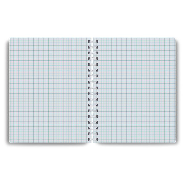 Тетрадь общая с твердой обложкой, матовая ламинация A5 96 л. на гребне 65 г/м², белизна 100% 4 шт клетка, 01558 Сквозь солнечные очки, Светоч Т213