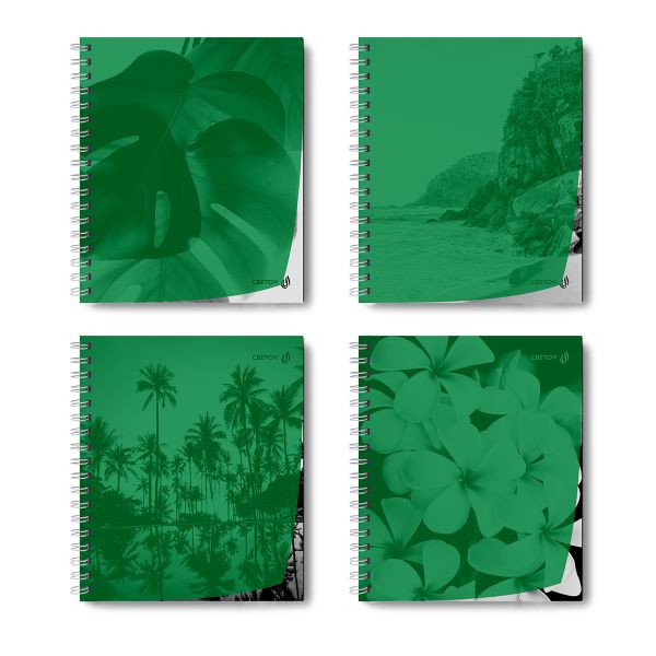 Тетрадь общая с пластик. обложкой, ч/б запечат. титульн.лист, 180 мкм, A5 48 л. на гребне 65 г/м², белизна 100% 4 шт клетка, 01548 Утренний пейзаж, зелёная, Светоч Т208