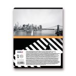 Тетрадь предметная Разные интересы A5+ 48 л. на скобе, 10 шт, клетка, Геометрия 48ТСК5 000151, Светоч