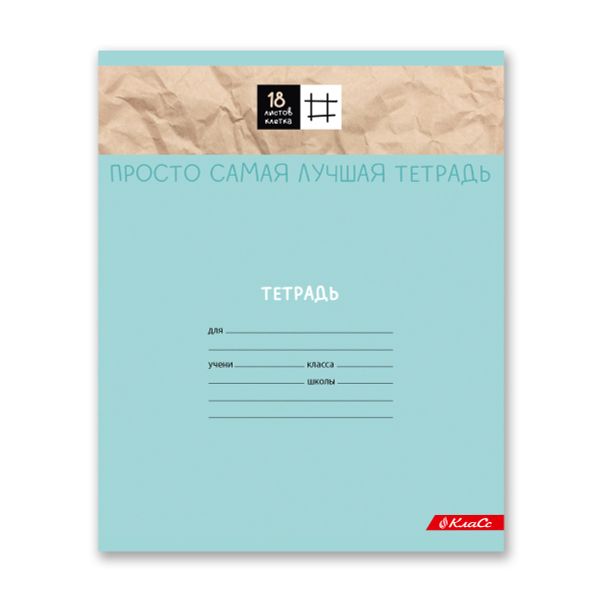 Тетрадь ученическая школьная A5+ 18 л. на скобе 65 г/м², белизна 100%, 20 шт, клетка, 000365 Всё получится, Светоч 18ТСКд5_1_3_1