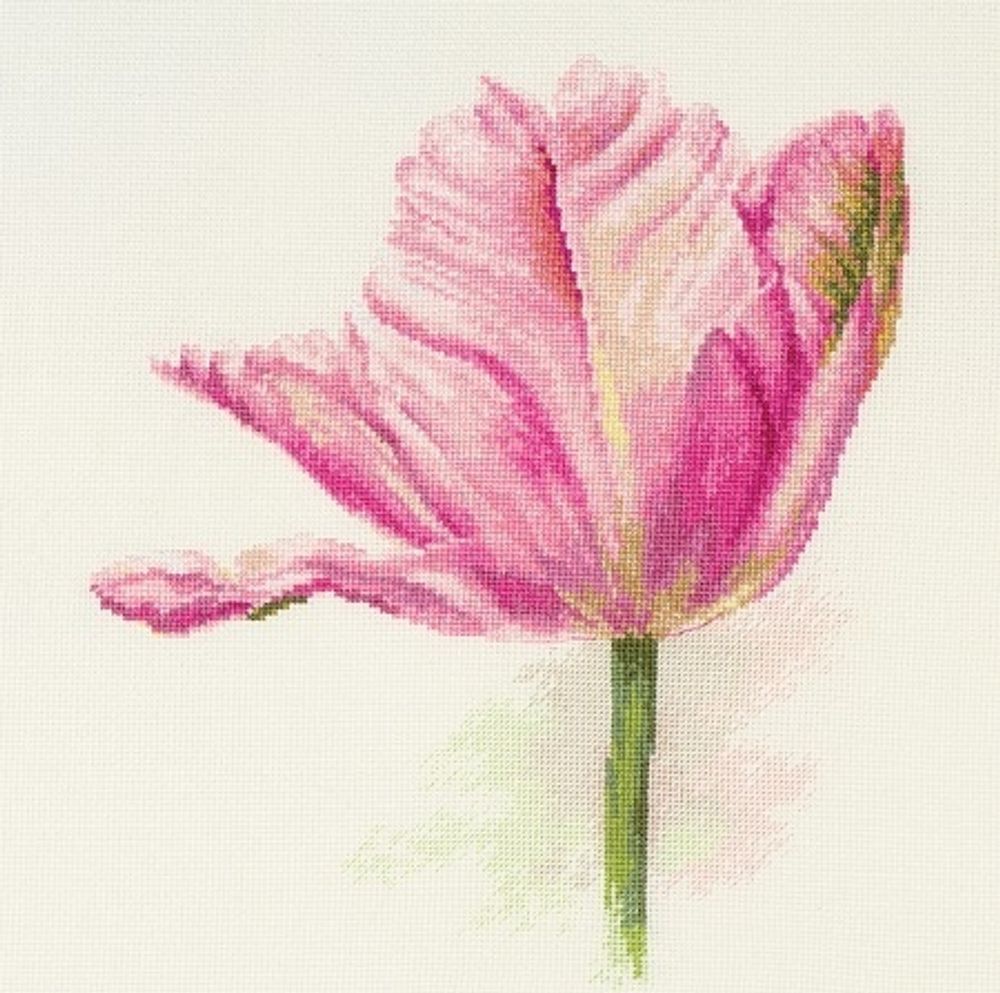 Алиса, Тюльпаны. Нежно-розовый 22х26 см, 636058