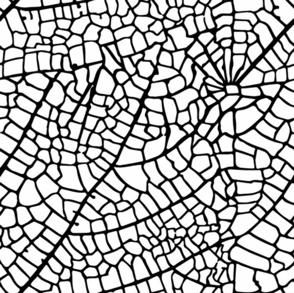 Текстурный лист Craft&Clay TSN, 25 Паутина