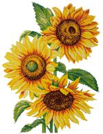 Алмазная (кристальная) мозаика Фрея, Подсолнухи на закате 30х40 см