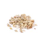 Ракушки декоративные 100 г, ± 5 г, 1.2 см, Nassa, Zlatka DRF-005