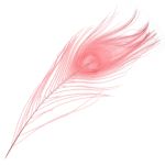 Перо павлина декоративное 25-30см, 10 штук (розовый), AR204-2