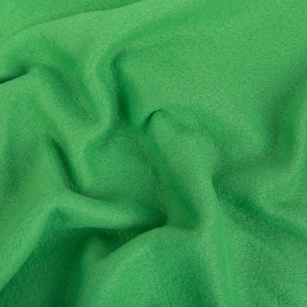 Флис 2-сторонний 160 см / 10 метров, зеленый/green, Gamma FG-005