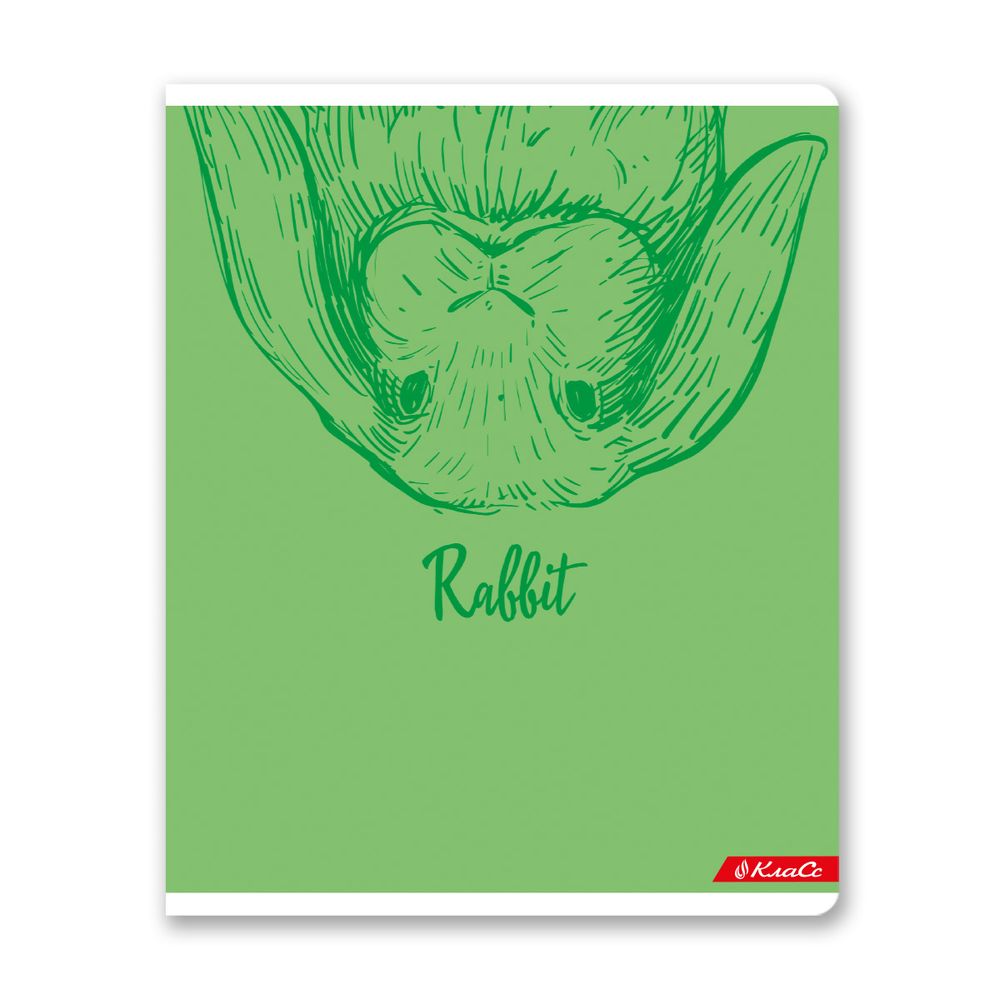 Тетрадь ученическая общая, матовая ламинация + выборочный УФ лак, A5+ 48 л. на скобе, белизна 100%, 10 шт, клетка, 000315 Зайчишка, Светоч 48ТСК5_24_3_1